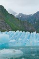 In LaConte Bay near the LeConte Glacier one of the icebergs stood out because of its sawtooth pattern. By shooting it in front of a glacier carved valley, I felt it created an interesting linkage between foreground and background.
