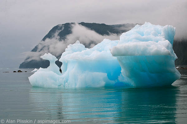 As we went by this iceberg near LaConte Bay I was taken by its different shapes and colors.