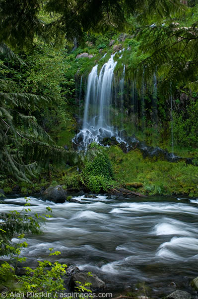 This side waterfall at Mossbrae Falls has an ethereal feel to it.