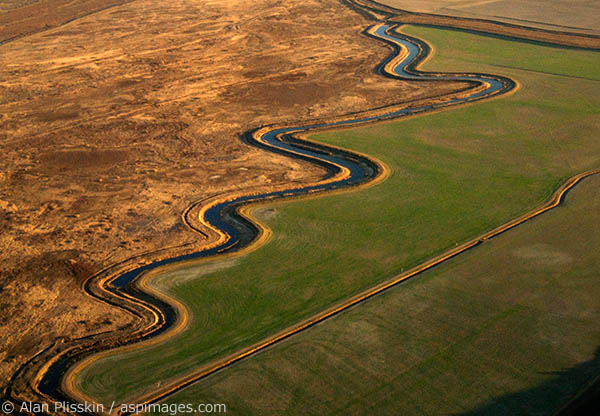 Undulating creek in southern Sonoma County.