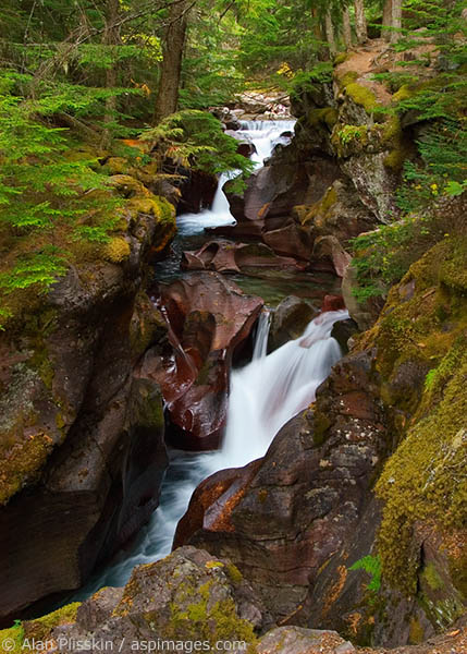 An overcast day opened the shadows and saturated the colors surrounding this waterfall in Glacier National Park.