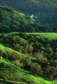 In wet years, Marin County can turn extremely verdant.