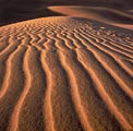 Early morning sunshine highlights the sand pattern in these dunes in Death Valley National Park.