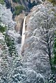 A dusting of snow on trees in Yosemite Valley frame this famous waterfall.