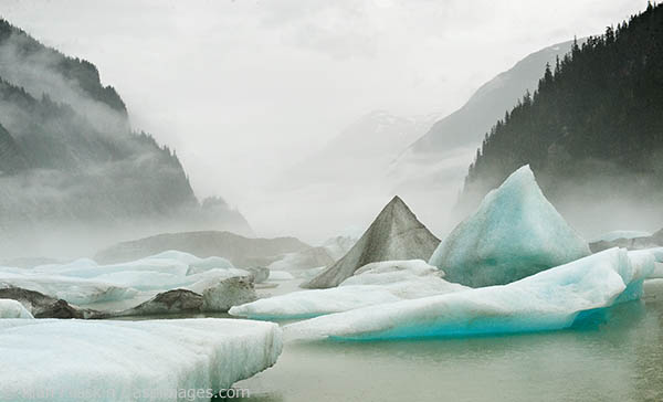 The Stikine is a 400 mile long river that goes from Alaska into British Columbia has some sections on it that John Muir compared to Yosemite Valley. Unfortunately, due to the proliferation of icebergs we were not able to travel very far up the river. However, we were greeted with constantly changing fog which made for some otherworldly scenes.