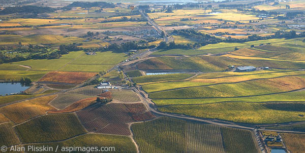 Aerial view of vineyards and wineries in the undulating hills north of the San Francisco Bay in Napa County.