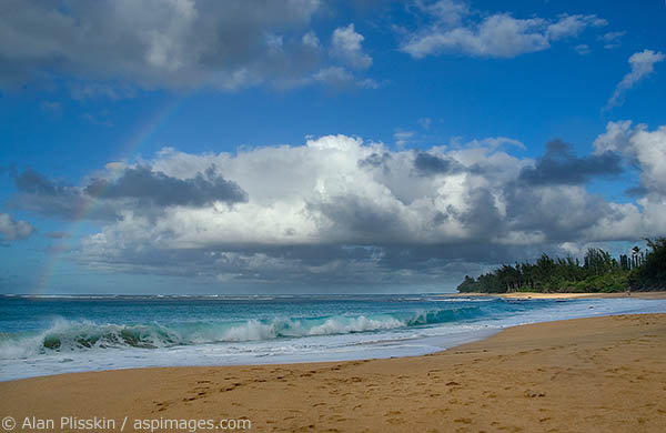 A Rainbow forms over breaking waves on this Kauai beach.