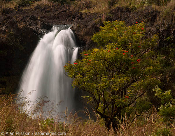 Remember, an "e" sounds like an "a" in Hawaiian, okay?