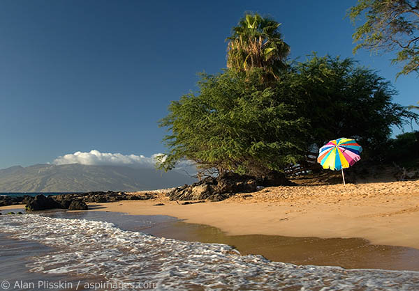 What beach scene is complete without a rainbow colored beach umbrella in it?