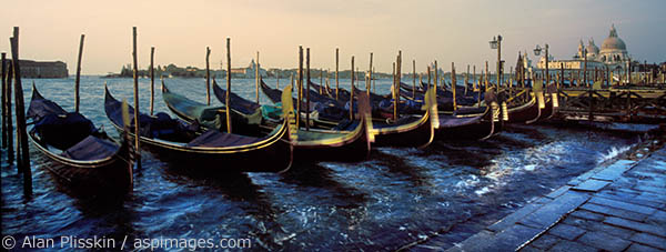 The gondolas were bouncing around in the water at San Marcos Square very early in the morning.