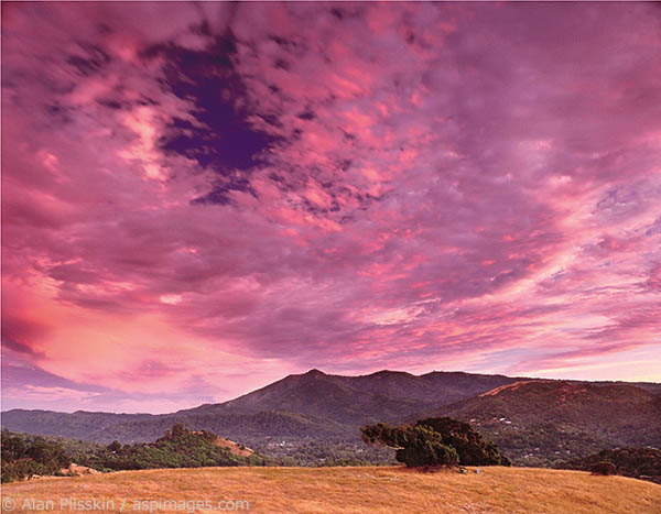 Sometimes you can tell in advance when a sunset will be special. This one did not dissappoint.