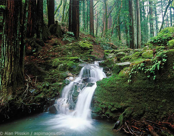 A peaceful little waterfall in Baltimore Canyon.