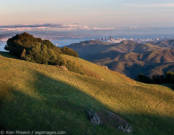 At 2542 feet, Mt Tamalpias offers great views of the Bay Area and southern Marin County coastline.