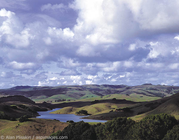 A unique perspective of the Nicasio Reservoir watershed.