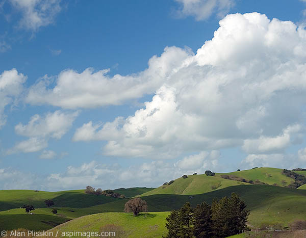 The green hills of northern Marin framed with cumulus clouds.