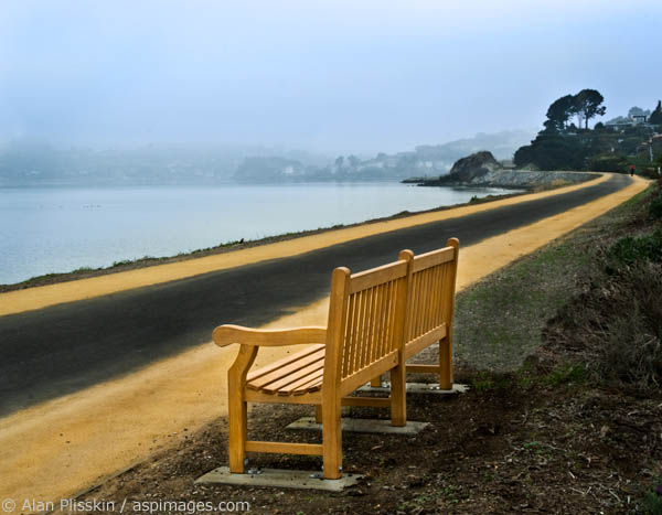 I thought this bench along the Bay in Tiburon makes for a tranquil scene.
