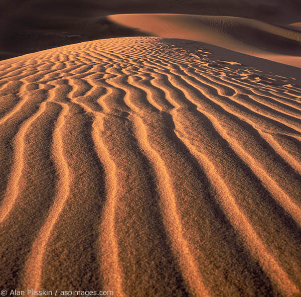 Early morning sunshine highlights the sand pattern in these dunes in Death Valley National Park.