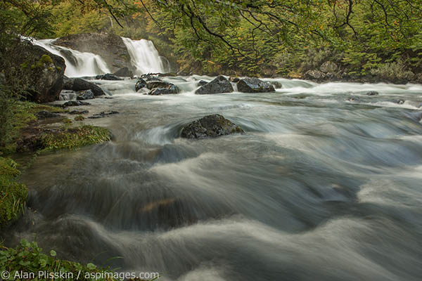 This waterfall in the Argentinean Parque Nacional Los Glacieres was roaring with glacial runoff.  The silt from the glacial runoff causes the water to be milky similar to many other mountain regions of the world.