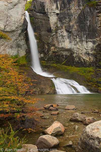 This beautiful waterfall in Parque Nacional Los Glaciers was down a kilometer path through forest with local woodpeckers.  The trees were just starting to change color in the region.