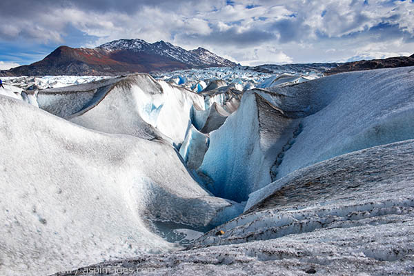 The Viedma Glacier in Parque Nacional Los Glacieres is one of the few glaciers in the world that is accumulating as much snow on its highest parts as it is losing in melt off.  We were able to take about a 2 hour hike with crampons on the glacier.