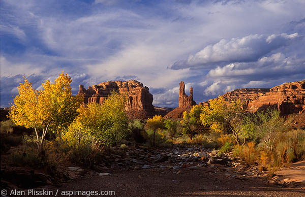 I raced to find a good perspective of this landscape as the sun was setting.