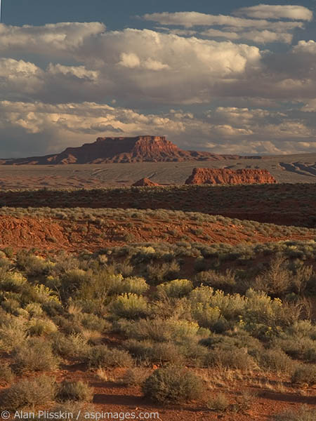 Buttes and towers fill this area near Monument Valley.